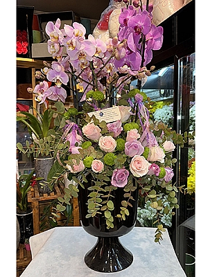 4 Dal Morkide zel Arajman